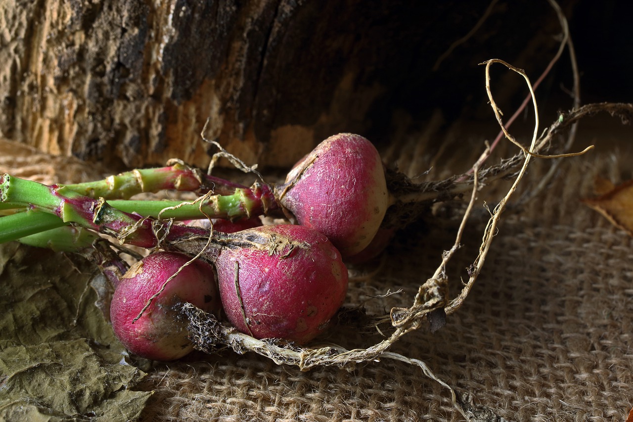 Using Cover Crops for Eco-Friendly Soil Management